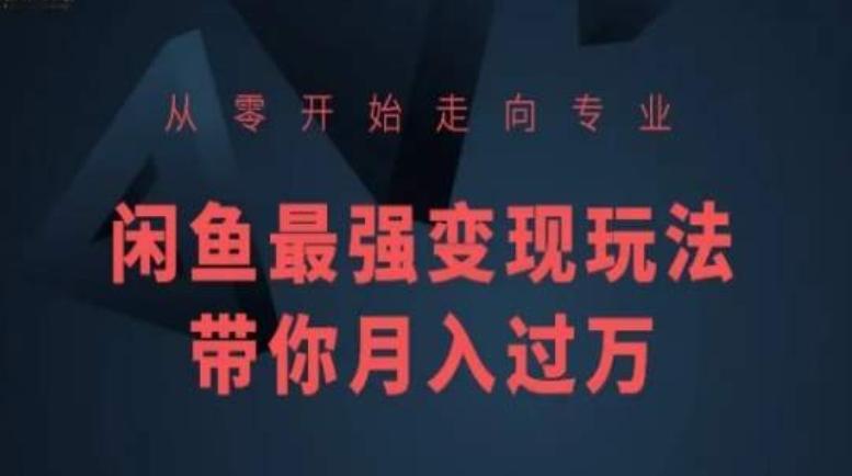 从零开始走向专业，闲鱼最强变现玩法带你月入过万-资源宝库