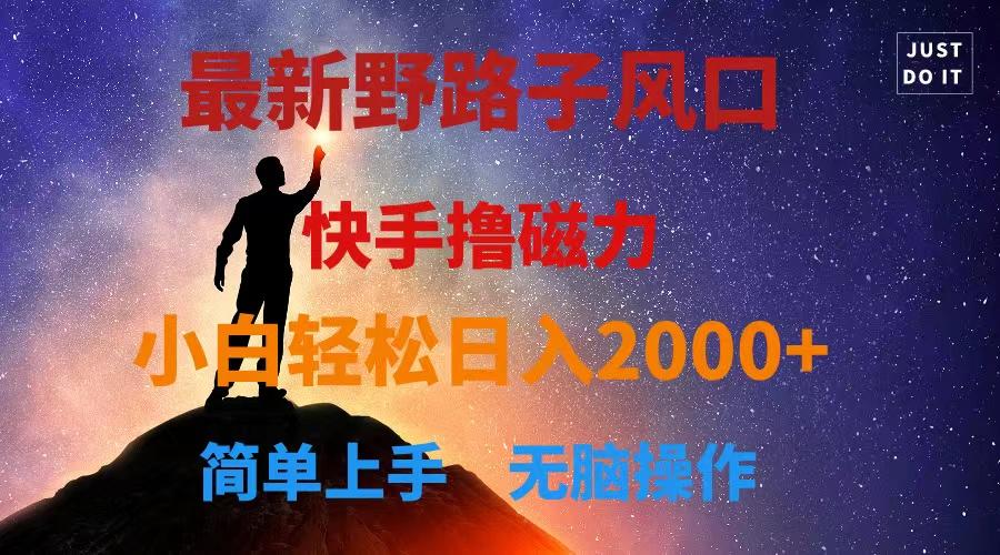 最新风口！快手撸磁力，野路子，小白无脑操作日入2000+-资源宝库