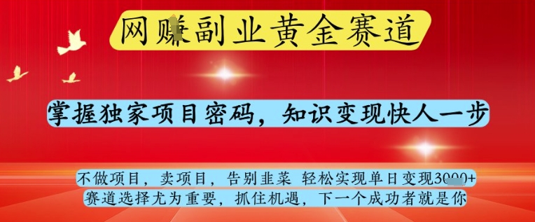 网创副业黄全赛道,掌握独家项目密码,知识变现快人一步,告别韭菜轻松实现单日变现1k+【揭秘】-资源宝库