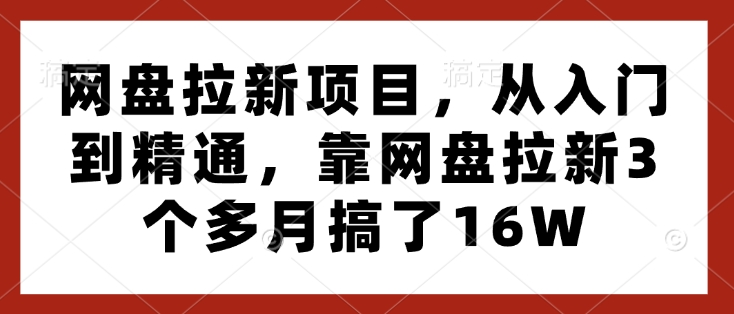 网盘拉新项目，从入门到精通，靠网盘拉新3个多月搞了16W-资源宝库