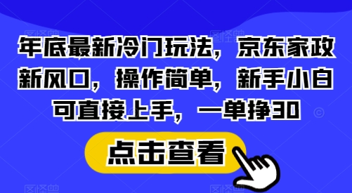 年底最新冷门玩法,京东家政新风口,操作简单,新手小白可直接上手,一单挣30【揭秘】-资源宝库