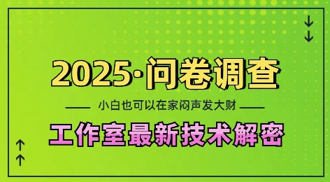 2025问卷调查最新工作室技术解密:一个人在家也可以闷声发大财,小白一天2张,可矩阵放大【揭秘】-资源宝库