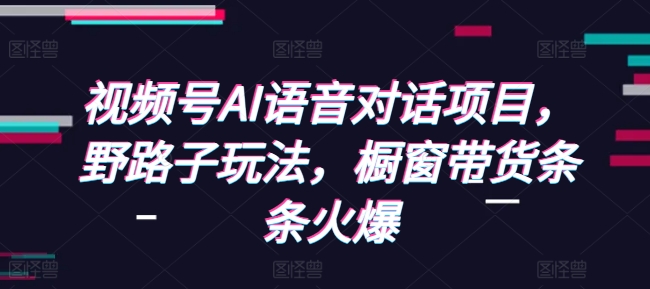 视频号AI语音对话项目,野路子玩法,橱窗带货条条火爆-资源宝库