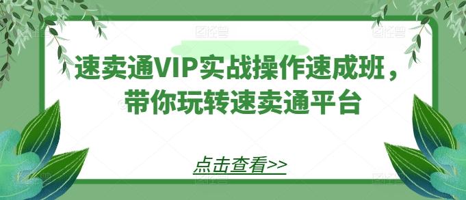 速卖通VIP实战操作速成班，带你玩转速卖通平台-资源宝库