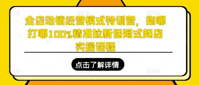 全店动销经营模式特训营，指哪打哪100%精准拉新保姆式起店实操课程-资源宝库
