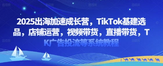 2025出海加速成长营,TikTok基建选品,店铺运营,视频带货,直播带货,TK广告投流等系统教程-资源宝库