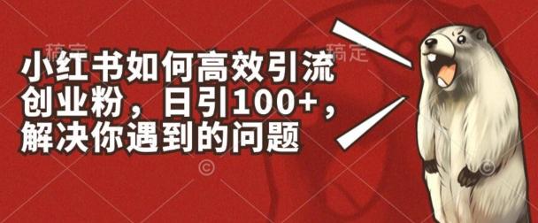 小红书如何高效引流创业粉，日引100+，解决你遇到的问题【揭秘】-资源宝库