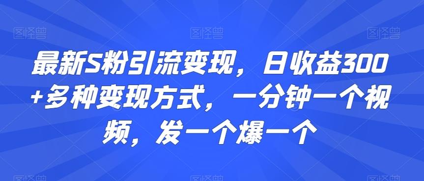 最新S粉引流变现，日收益300+多种变现方式，一分钟一个视频，发一个爆一个【揭秘】-资源宝库