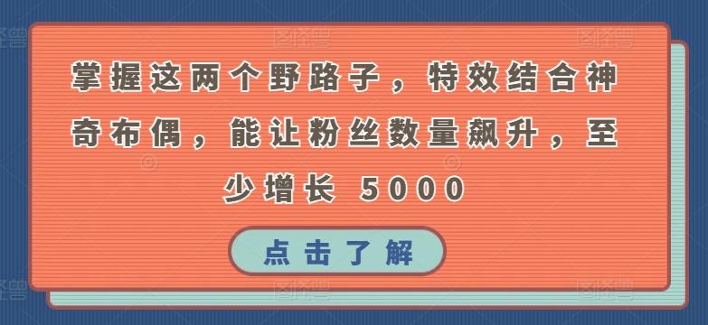 掌握这两个野路子，特效结合神奇布偶，能让粉丝数量飙升，至少增长 5000【揭秘】-资源宝库
