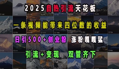 2025自热引流天花板，一条视频能带来四位数的收益，引流+变现双管齐下，日引500+创业粉，涨粉嘎嘎猛-资源宝库