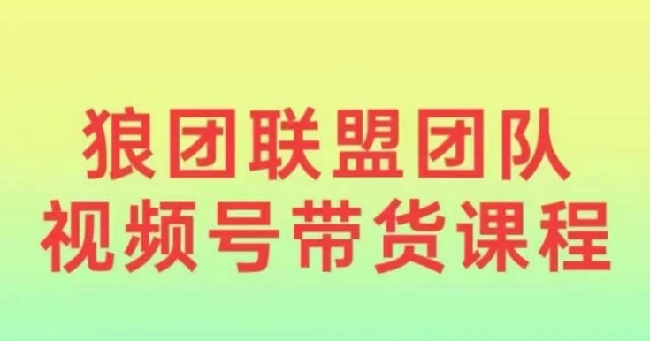 狼团联盟2024视频号带货,0基础小白快速入局视频号-资源宝库