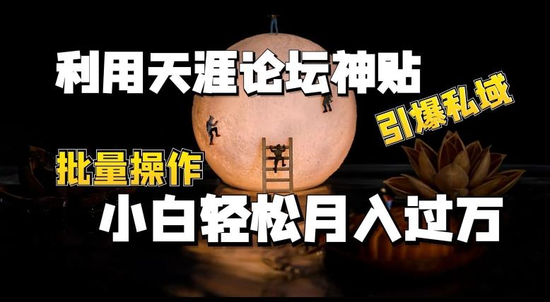 利用天涯论坛神贴，引爆私域，批量操作，小白轻松月入过w【揭秘】-资源宝库
