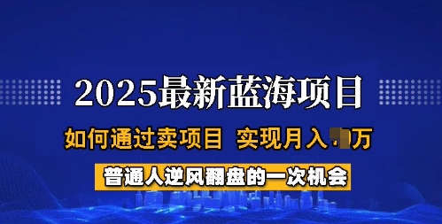 2025蓝海项目，普通人如何通过卖项目，实现月入过W，全过程【揭秘】-资源宝库