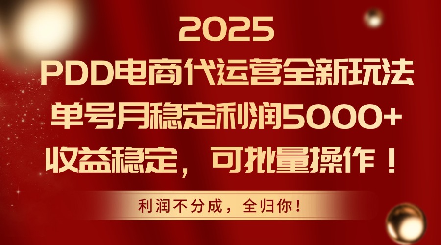 2025PDD电商代运营全新玩法，单号月稳定利润5000+，收益稳定，可批量操作-资源宝库