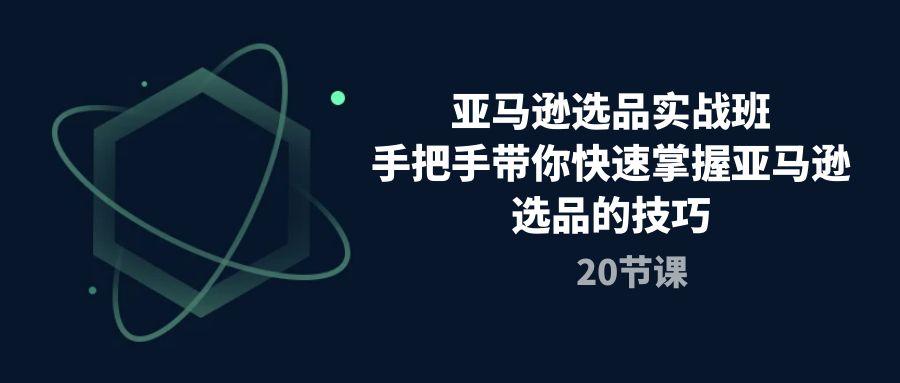 亚马逊选品实战班，手把手带你快速掌握亚马逊选品的技巧(20节课-资源宝库