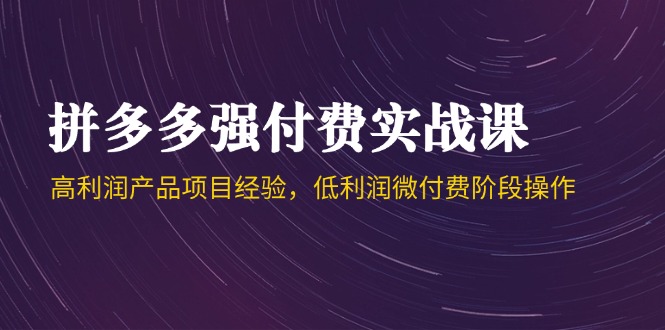 拼多多强付费实战课-44期，高利润产品项目经验，低利润微付费阶段操作-资源宝库