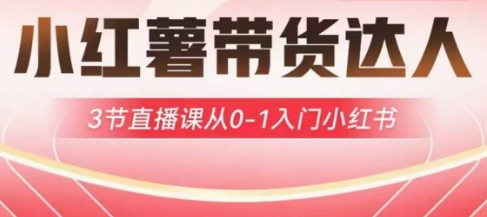 小红薯达人带货启航计划，3节直播课从0-1入门小红书-资源宝库
