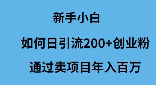 (9668期)新手小白如何日引流200+创业粉通过卖项目年入百万-资源宝库