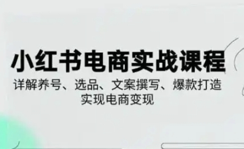 小红书从0-1实操课(2023-2025),详解养号、选品、文案撰写、爆款打造实现电商变现-资源宝库
