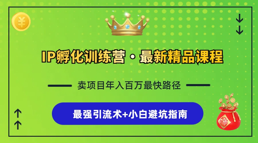 IP孵化训练营，知识付费全流程+最强引流术+小白避坑指南-资源宝库