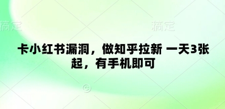 卡小红书漏洞，做知乎拉新 一天3张起，有手机即可-资源宝库