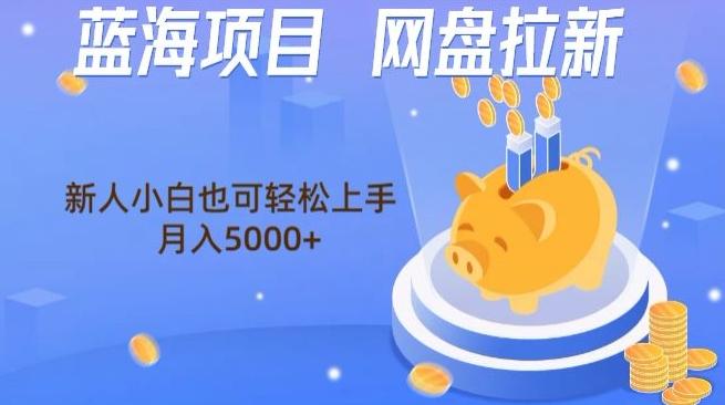 蓝海项目网盘拉新，新人小白也可操作，每月收入5000+-资源宝库