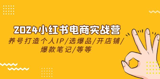 2024小红书电商实战营，养号打造IP/选爆品/开店铺/爆款笔记/等等(24节)-资源宝库