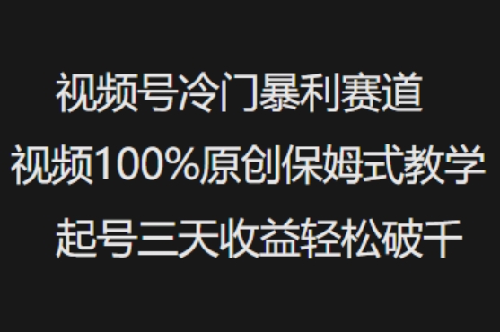 视频号冷门暴利赛道视频100%原创保姆式教学起号三天收益轻松破千-资源宝库