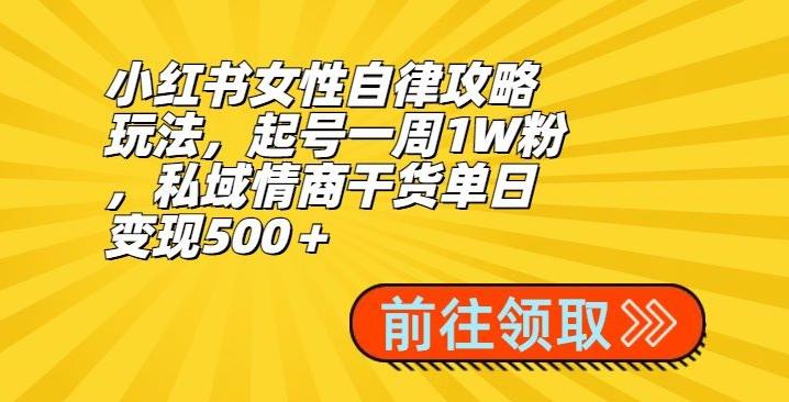 小红书女性自律攻略玩法，起号一周1W粉，私域情商干货单日变现500＋-资源宝库