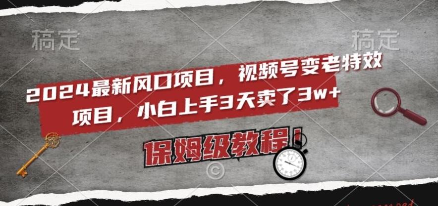 2024最新风口项目，视频号变老特效项目，电脑小白上手3天卖了3w+，保姆级教程【揭秘】-资源宝库