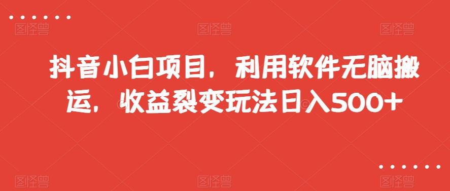 抖音小白项目，利用软件无脑搬运，收益裂变玩法日入500+【揭秘】-资源宝库