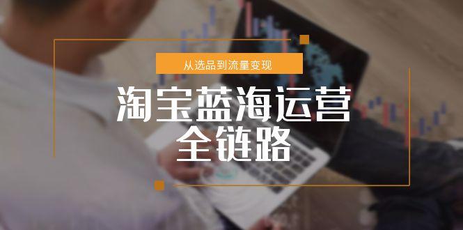 淘宝蓝海运营全链路,从选品到流量变现,小类目突围完整方案-资源宝库