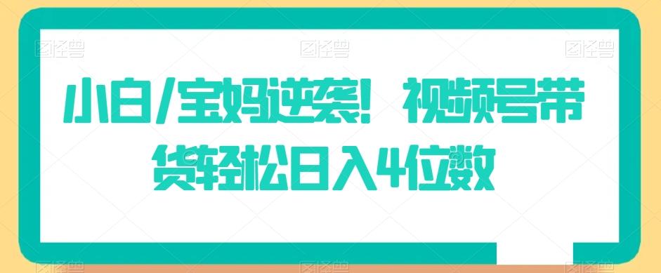 小白/宝妈逆袭！视频号带货轻松日入4位数【揭秘】-资源宝库