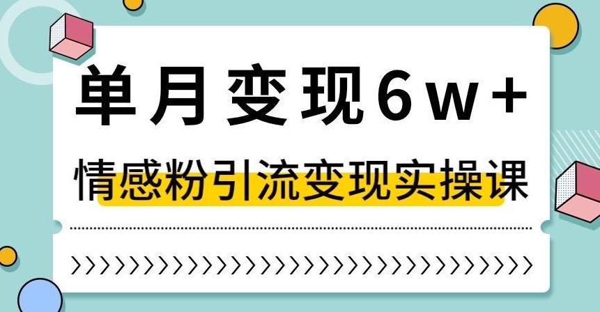单月变现6W+，抖音情感粉引流变现实操课，小白可做，轻松上手，独家赛道【揭秘】-资源宝库