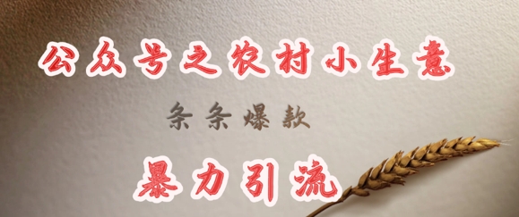 deepseek写农村小项目,条条爆款,暴力引流-资源宝库