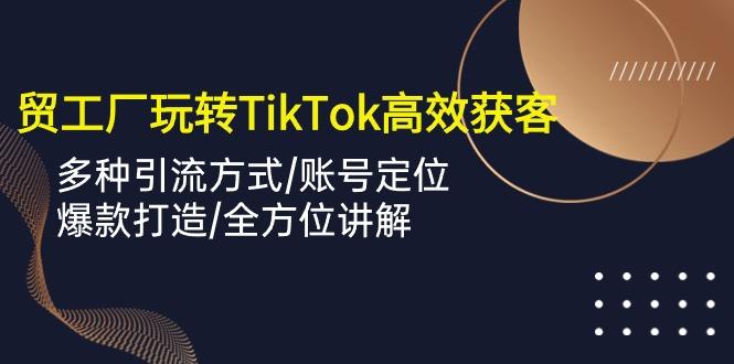 外贸工厂玩转TikTok高效获客，多种引流方式/账号定位/爆款打造/全方位讲解-资源宝库