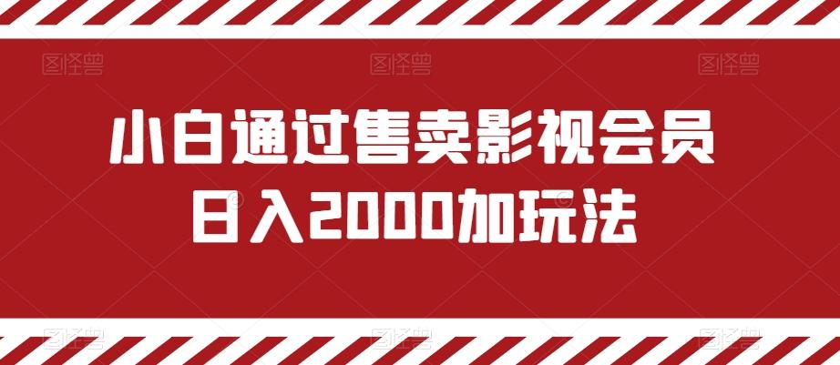 小白通过售卖影视会员日入2000加玩法-资源宝库
