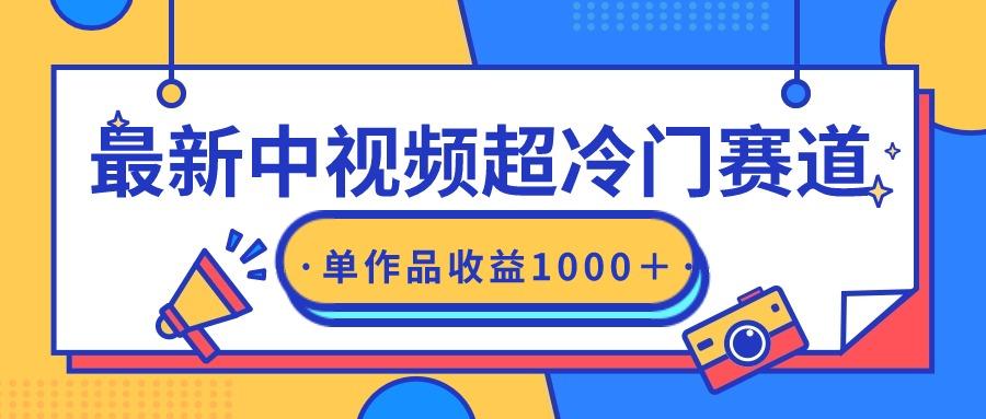 (9275期)最新中视频超冷门赛道，轻松过原创，单条视频收益1000＋-资源宝库