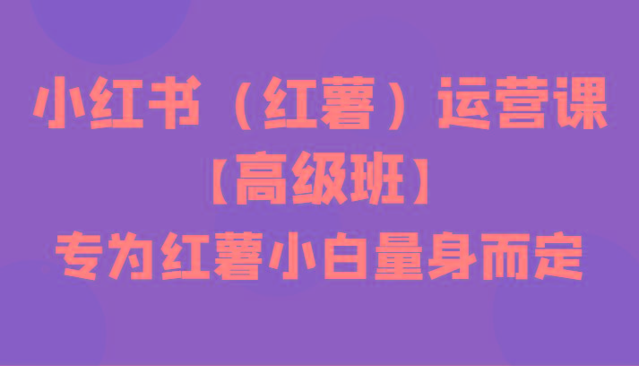 小红书(红薯)运营课【高级班】，专为红薯小白量身而定(42节课)-资源宝库