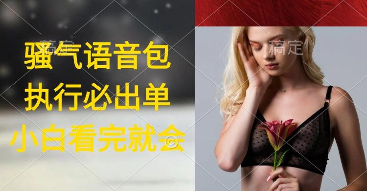 (9589期)执行就出单，日入2000+，超火骚气语音包，小白看完课程就能马上实操-资源宝库