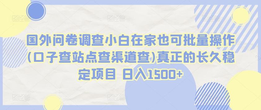 国外问卷调查小白在家也可批量操作(口子查站点查渠道查)真正的长久稳定项目 日入1500+【揭秘】-资源宝库