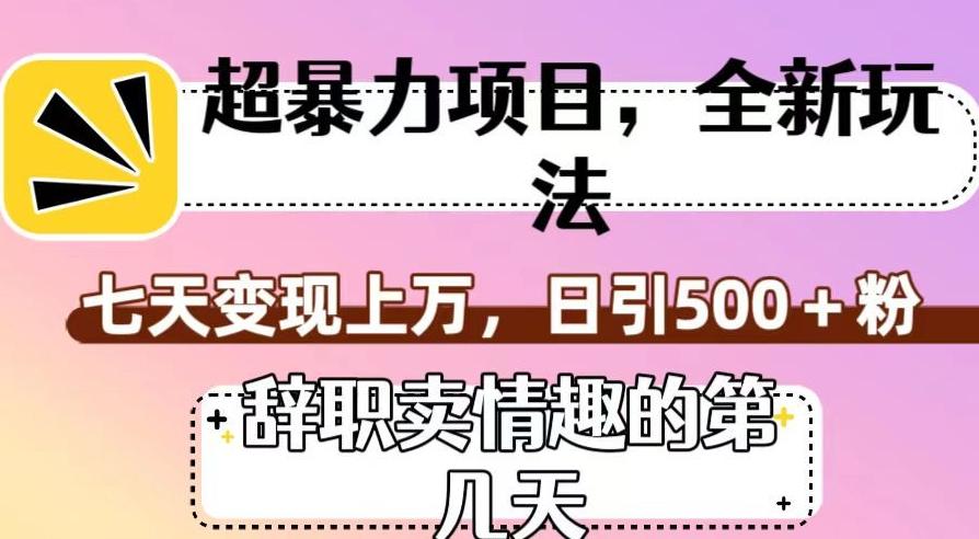超暴利项目，全新玩法（辞职卖情趣的第几天），七天变现上万，日引500+粉【揭秘】-资源宝库