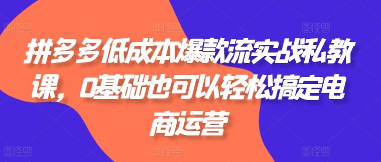 拼多多低成本爆款流实战私教课，0基础也可以轻松搞定电商运营-资源宝库