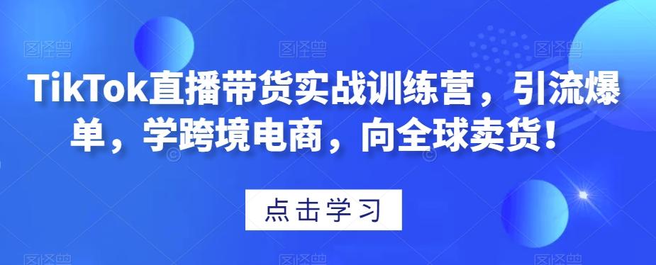 TikTok直播带货实战训练营，引流爆单，学跨境电商，向全球卖货！-资源宝库