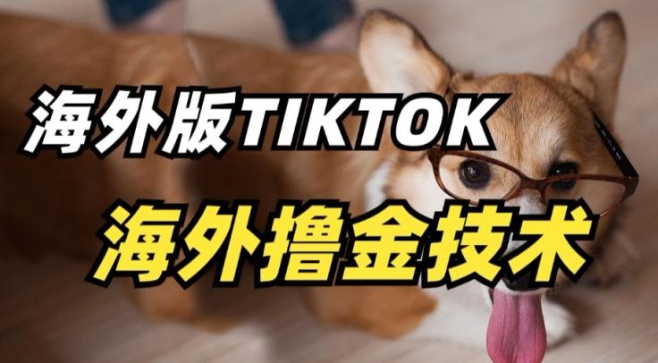 抖音海外版tiktok撸金技术，这个风口行业，赚钱真的不难【揭秘】-资源宝库