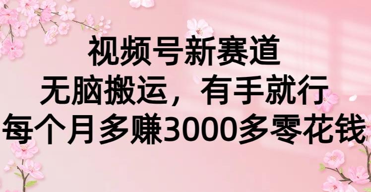 (9278期)视频号新赛道，无脑搬运，有手就行，每个月多赚3000多零花钱-资源宝库