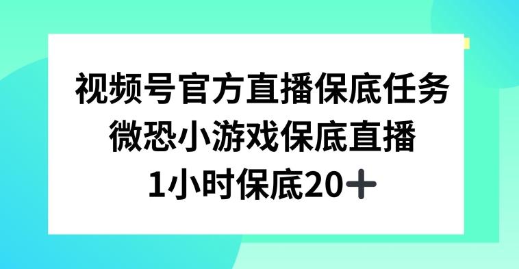 视频号直播任务，微恐小游戏，1小时20+【揭秘】-资源宝库