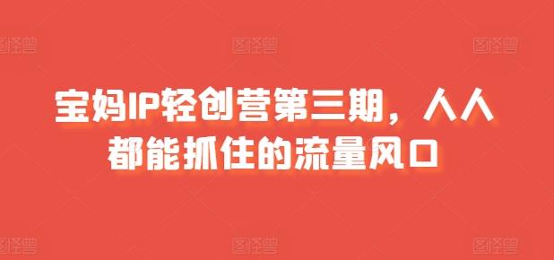 宝妈IP轻创营第三期，人人都能抓住的流量风口-资源宝库