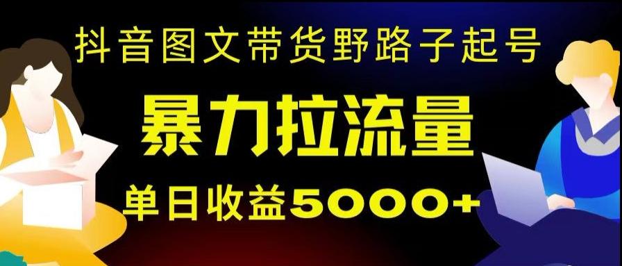 抖音图文带货暴力起号，单日收益5000+，野路子玩法，简单易上手，一部手机即可【揭秘】-资源宝库