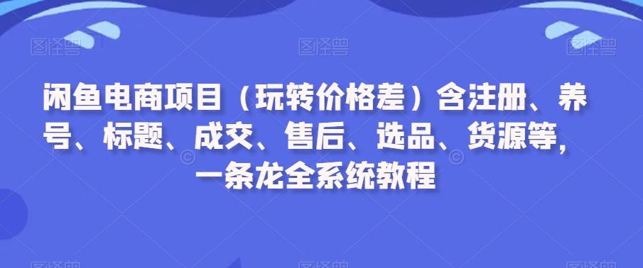 闲鱼电商项目(玩转价格差)含注册、养号、标题、成交、售后、选品、货源等，一条龙全系统教程-资源宝库